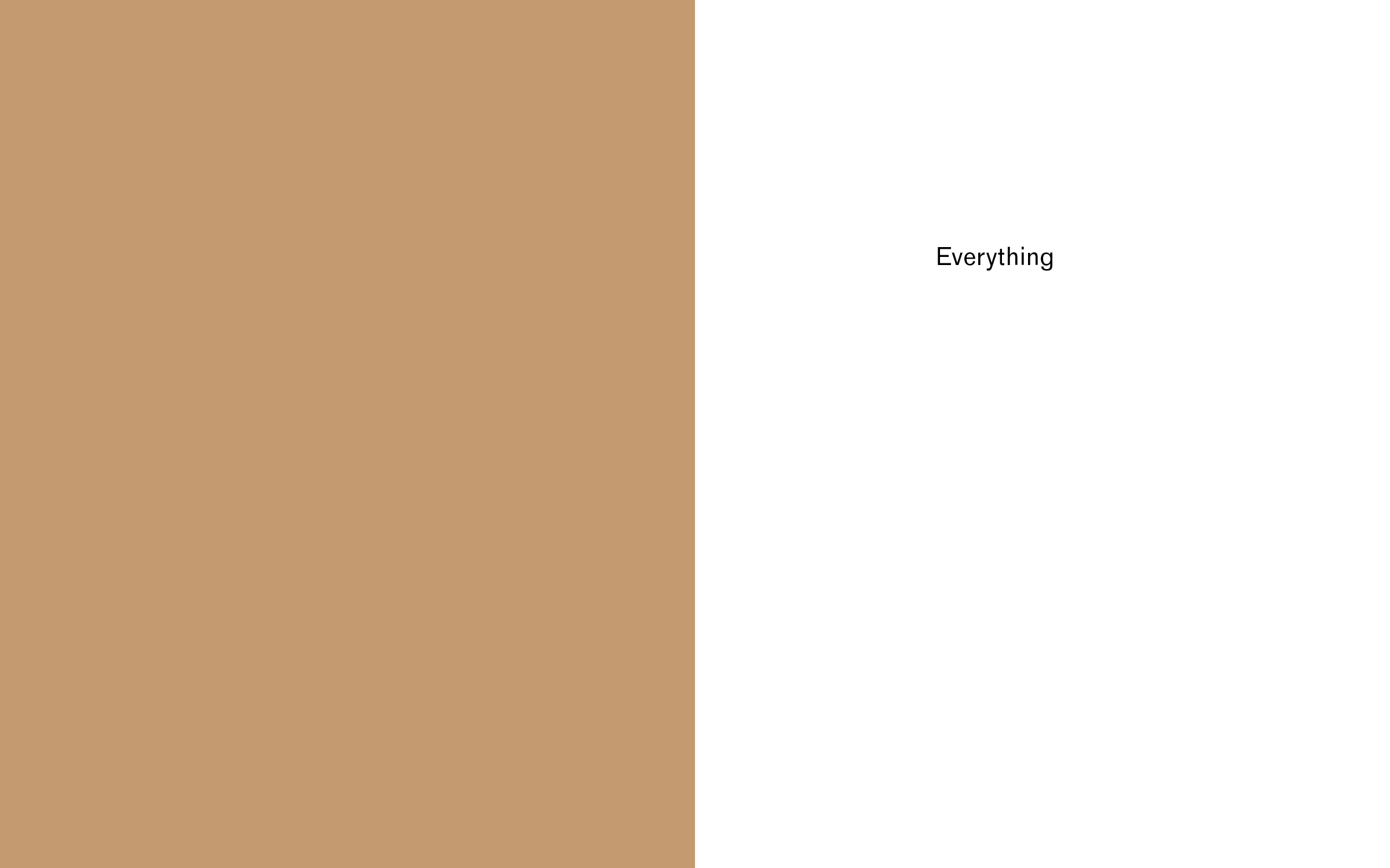 Everything__3